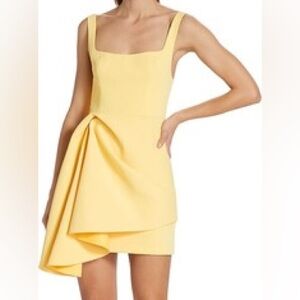Acler Clarke Dress